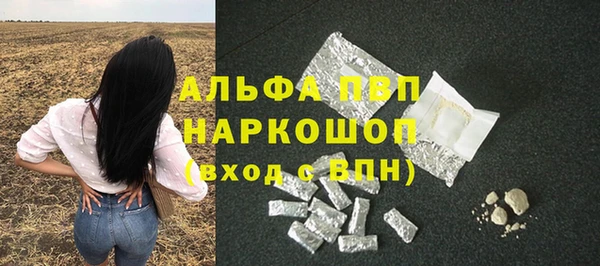 стаф Аркадак