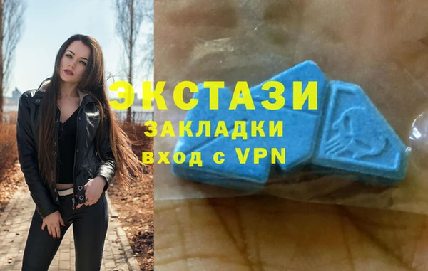 стаф Аркадак