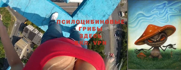 стаф Аркадак
