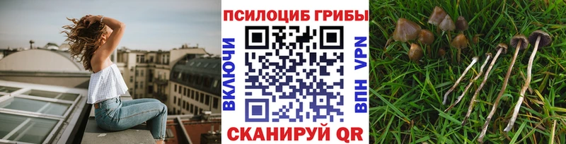 нарко площадка как зайти  KRAKEN зеркало  Переславль-Залесский  Галлюциногенные грибы прущие грибы 